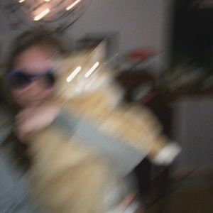 Meet your Posher, Roxanne